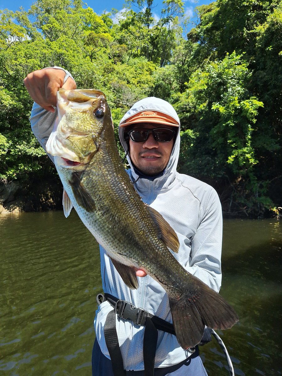 7月25日（金）渡辺 様の釣行（55cm）
mishimako-ishii-bass.net/2025-07-25-bas… 

#三島湖
#石井釣舟店
