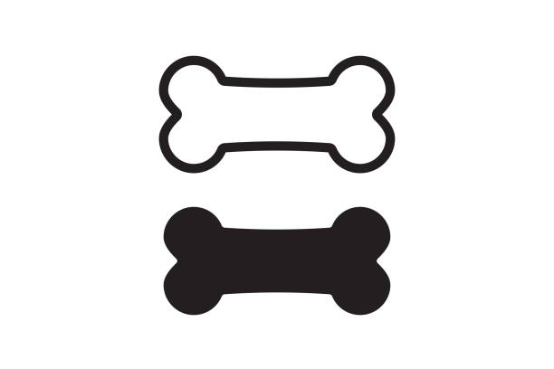 SilvanaDFrances's tweet image. Les tiran un hueso, se hacen un caldo y con eso los silencian a algunos.
Los tratan cual perros y algunos, mueven sus colas.