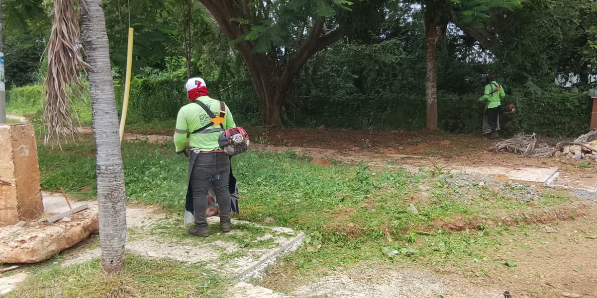 Trabajos de ornato en Altos de Las Praderas, San Antonio.