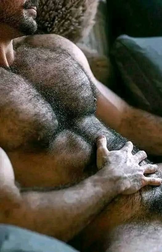 Hairy Chested Men (@millsk2023) on Twitter photo 