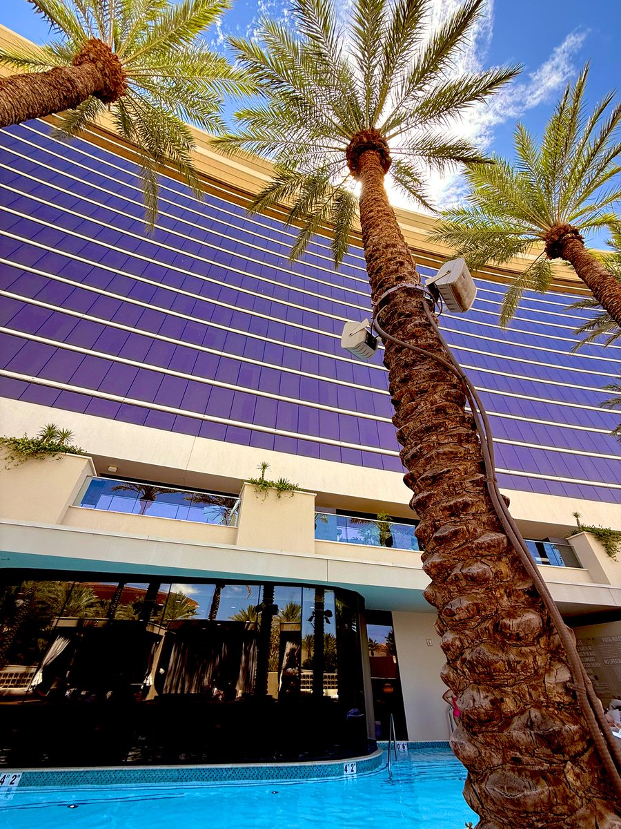 CastilloTrading's tweet image. Little Red Rocks spa morning.