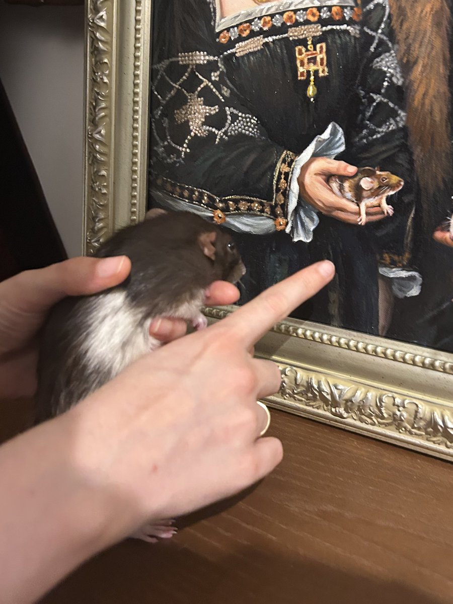 IsaRatties's tweet image. Literally you