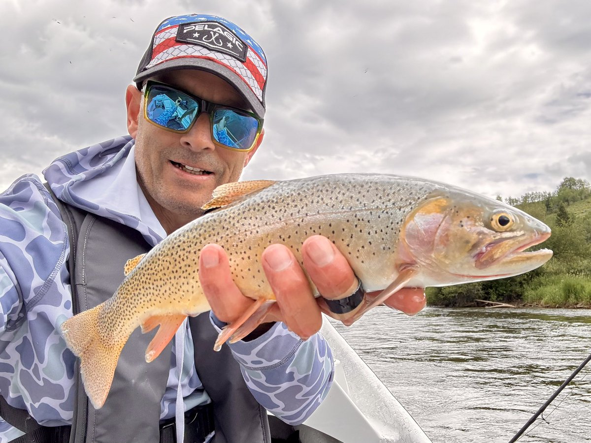 Kevin Blast tweet media