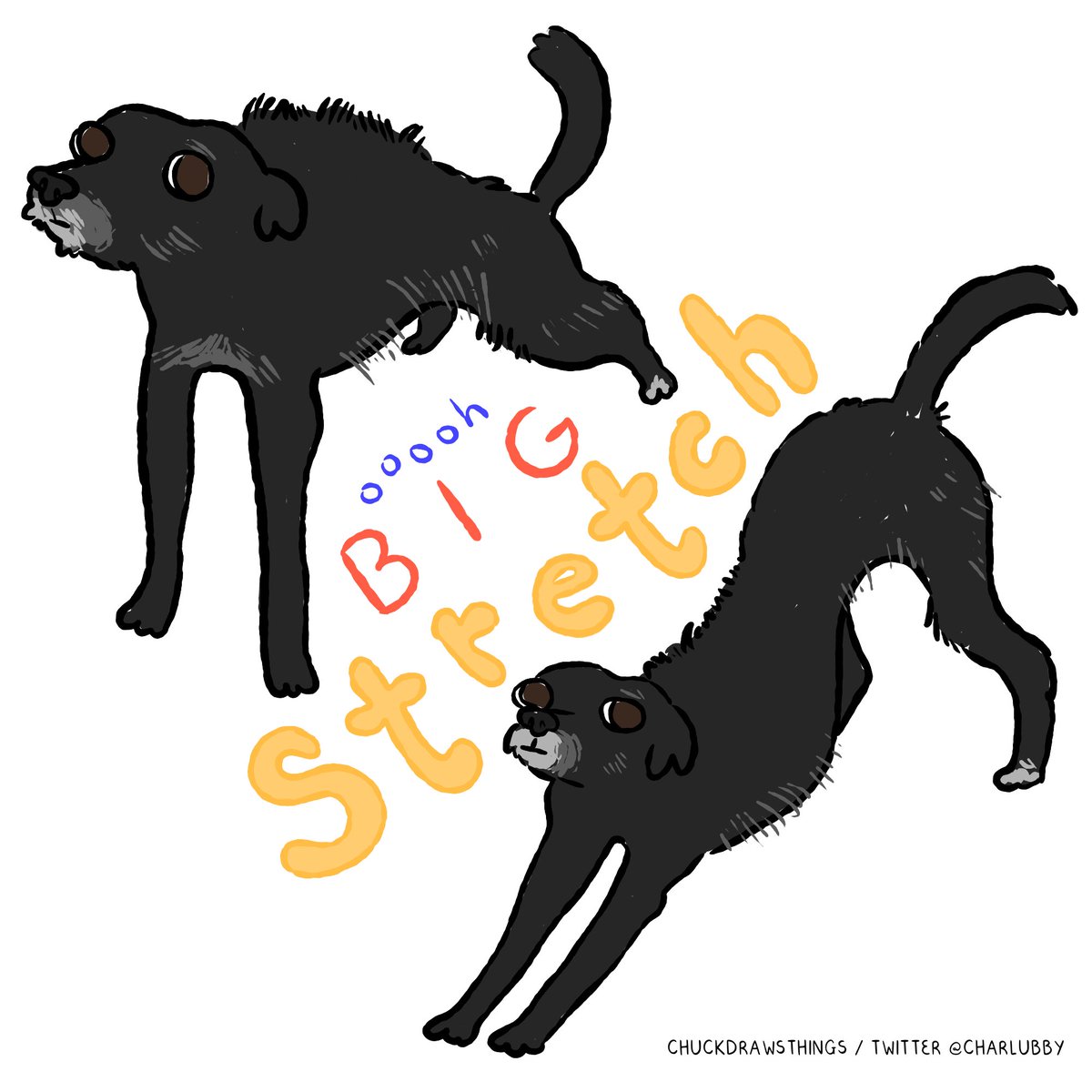 charlubby's tweet image. warming up with some doodles of my pals&apos; pups