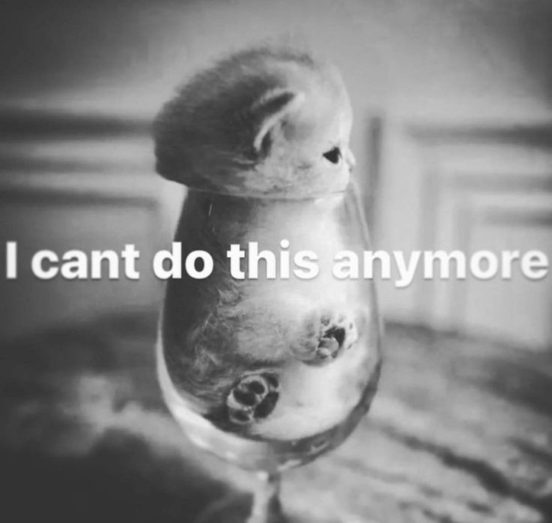 FluppyPuffy831's tweet image. 