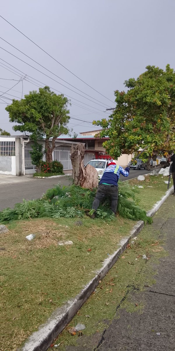 Ornato en entrada e isletas principales de Cerro Viento.