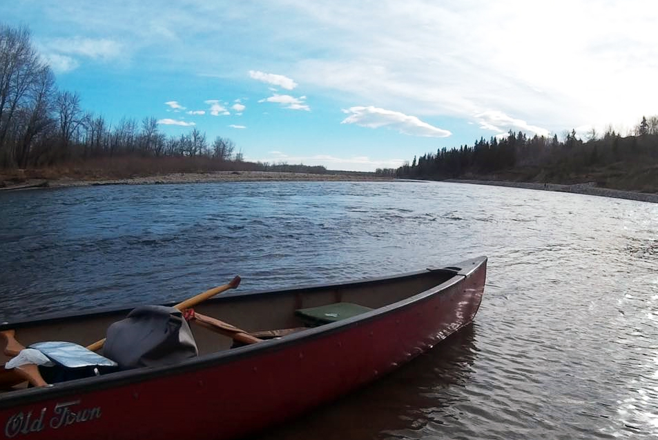 GlobalEdmonton's tweet image. Alberta may require an annual pass for canoes, kayaks, jet skis and other watercraft.
globalnews.ca/news/11304631/…