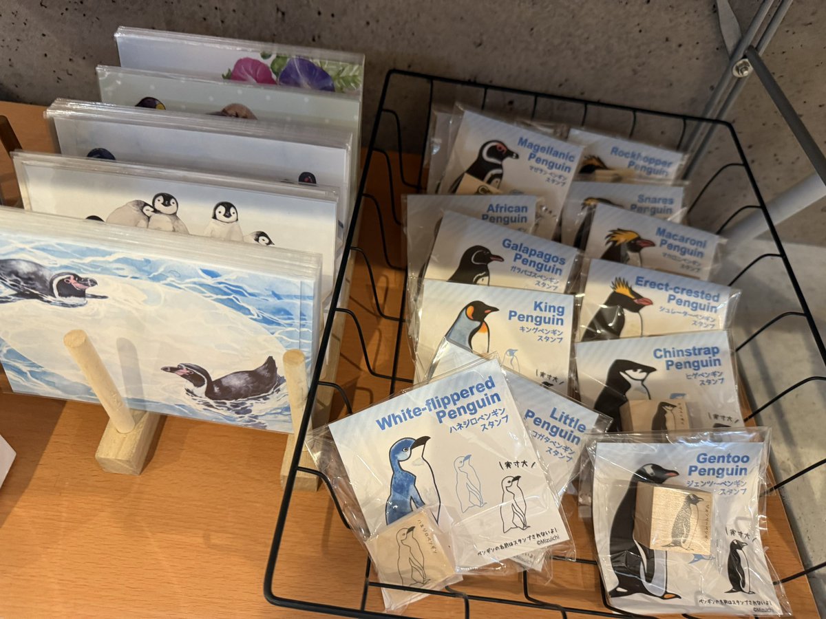mizuichi_RI's tweet image. ペンぎょ展2025 名古屋展が本日7/26から始まりました! 手描きポーチは残り3点🖌️その他、カラー封筒付きメッセージカード、一部ポストカードが在庫限りとなっております🐧🐠
会期➡️7/26(土)〜8/17(日)
休館日➡️毎週月・火曜日 ※8月11日(月・祝日)は開館•8月13日(水)は振替休日
#ペンぎょ展2025