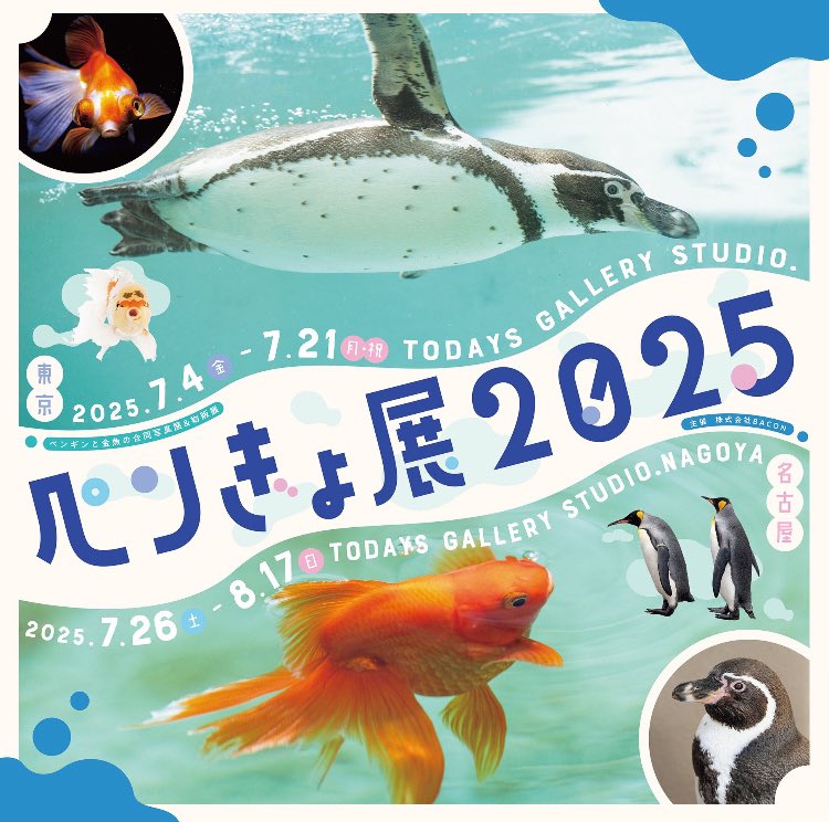 mizuichi_RI's tweet image. ペンぎょ展2025 名古屋展が本日7/26から始まりました! 手描きポーチは残り3点🖌️その他、カラー封筒付きメッセージカード、一部ポストカードが在庫限りとなっております🐧🐠
会期➡️7/26(土)〜8/17(日)
休館日➡️毎週月・火曜日 ※8月11日(月・祝日)は開館•8月13日(水)は振替休日
#ペンぎょ展2025