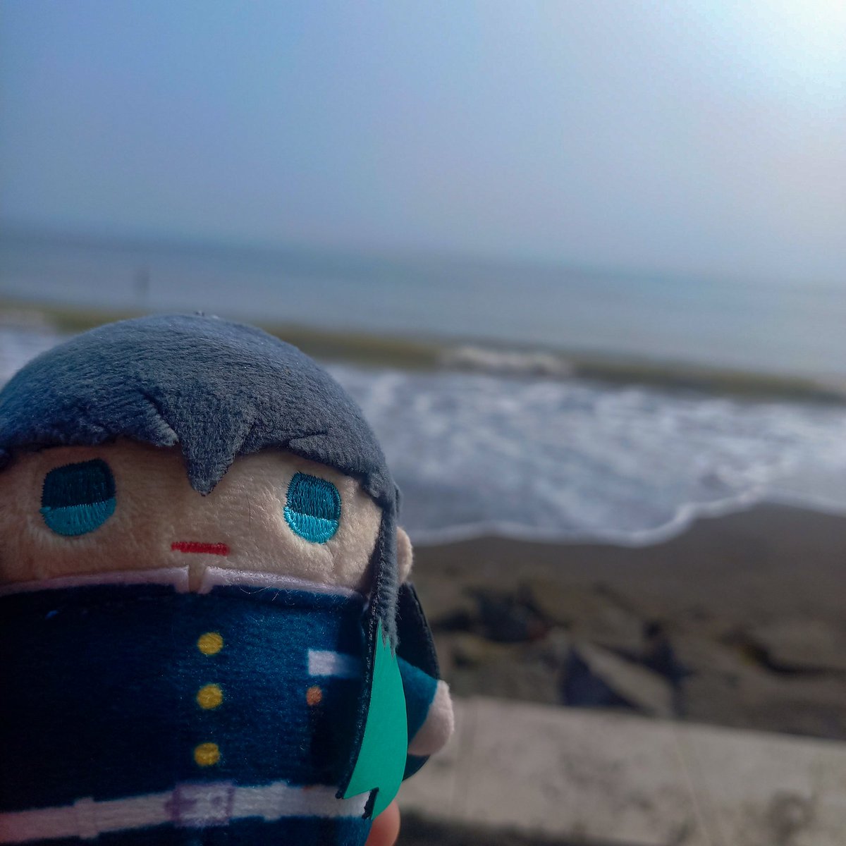 llicorall's tweet image. ⋆｡🌊𖦹 °.🐚⋆❀˖°