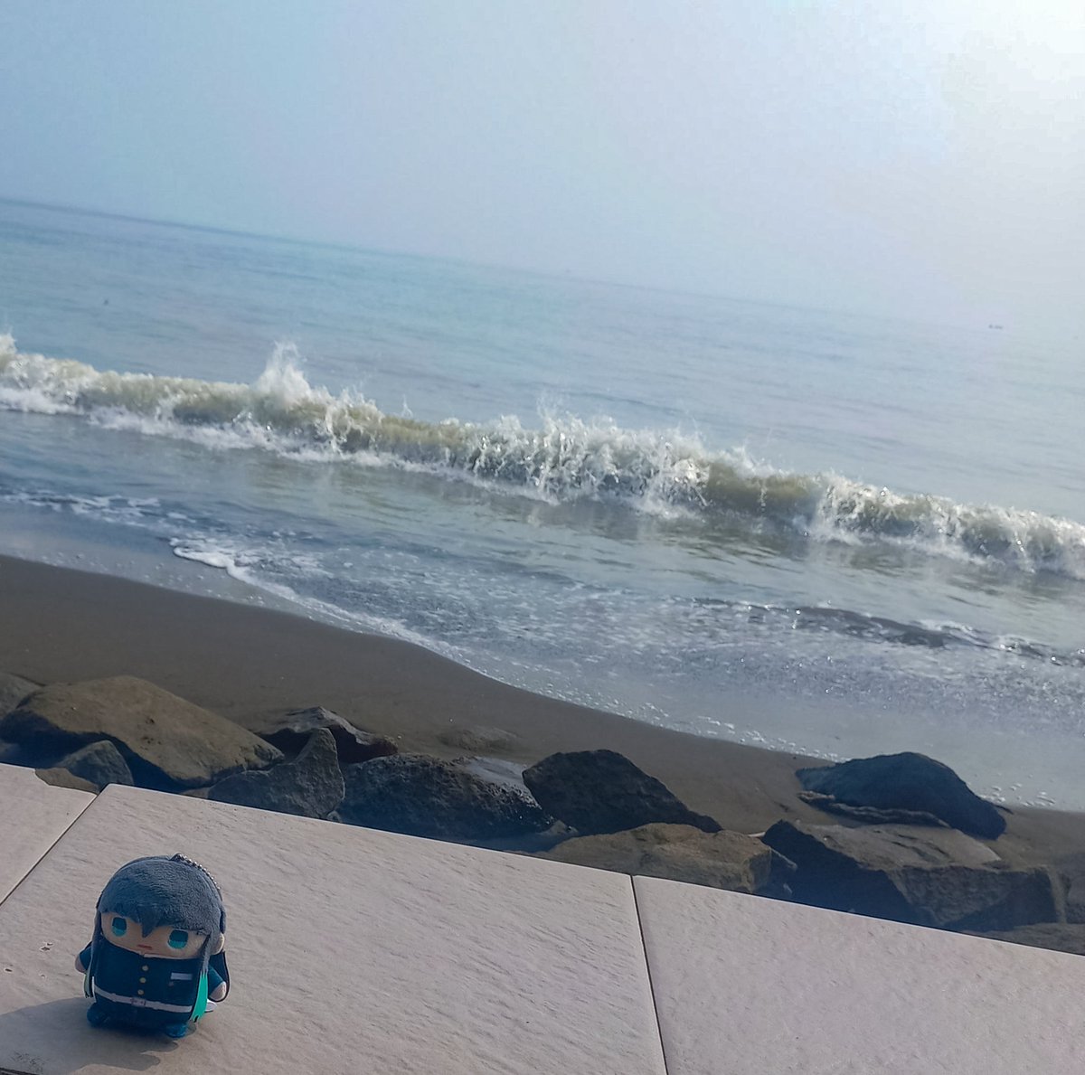 llicorall's tweet image. ⋆｡🌊𖦹 °.🐚⋆❀˖°