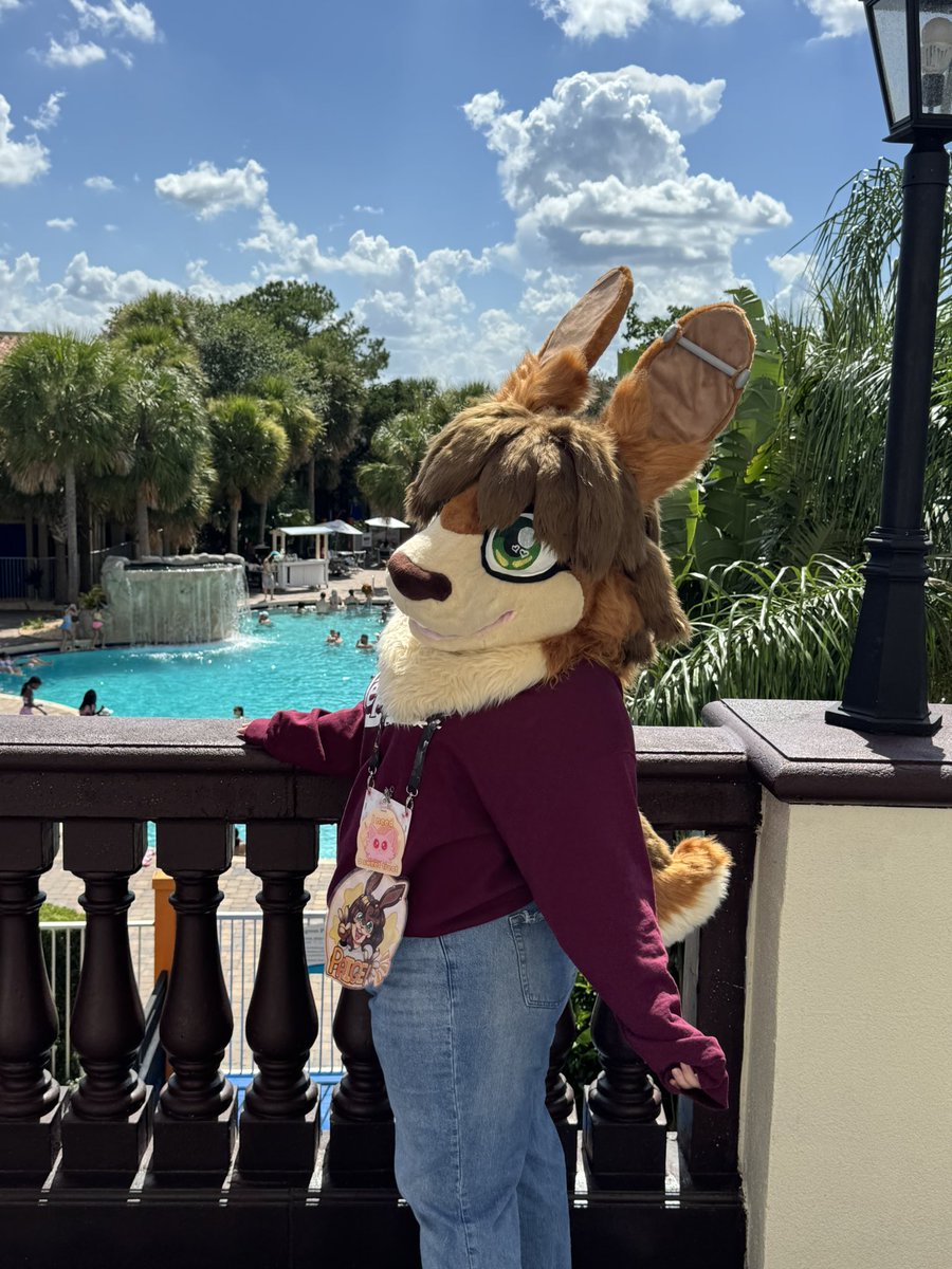 paige_probably's tweet image. Happy #FursuitFriday! I had tons of fun at #chompfl last weekend! If you took any pics with me or the cool dragon I was with, feel free to share!