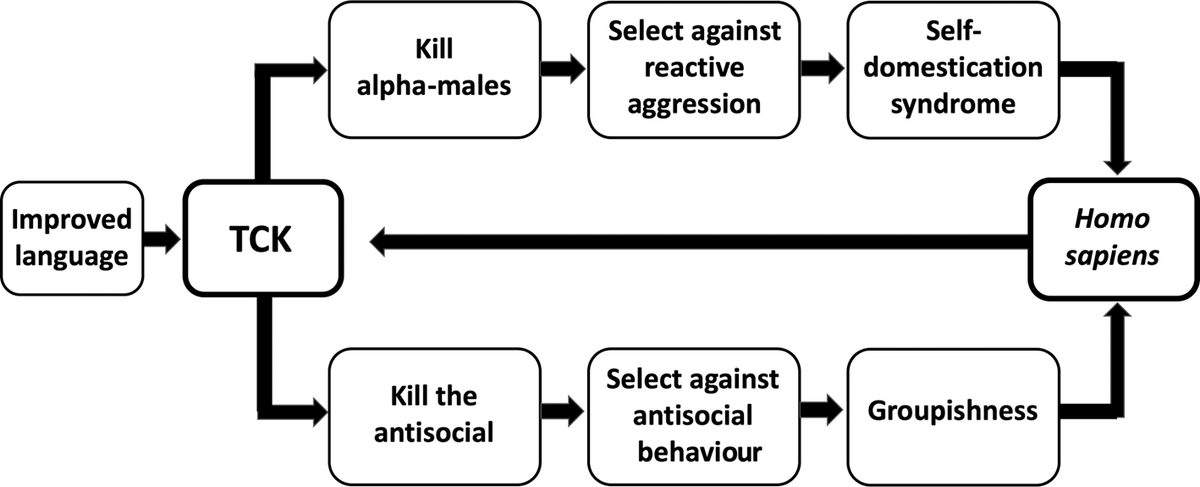 EndgamePanacea's tweet image. When #BotAccount get a free pass to post anything anytime,while genuine (shadow banned) account is restricted &amp;amp; analysed under the microscope  to release its post but still under a barrier of layers to restrict its views. When you own the system,you can do whatever you please.🤠