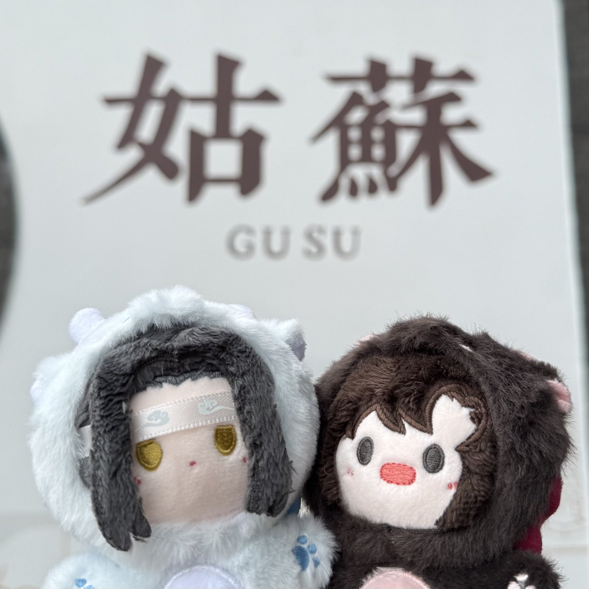 minn760's tweet image. 龍忘羨、姑蘇に帰った✈️