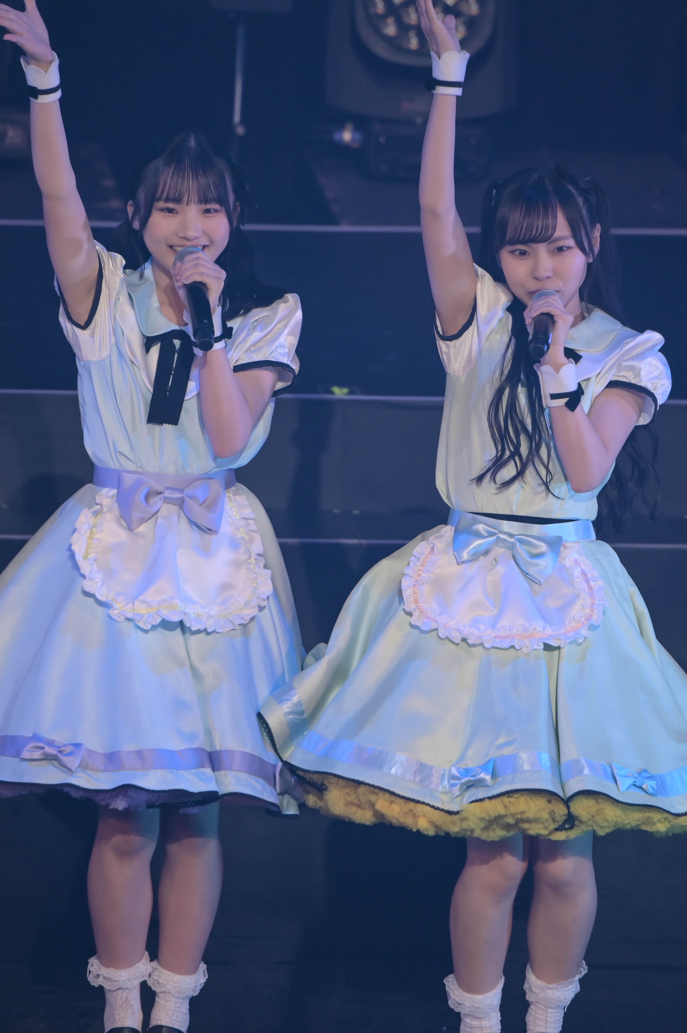 NMB48 ニャンコトランプ NMB48 ニャンコトランプ NMB48 Mobile & ROOMS【公式