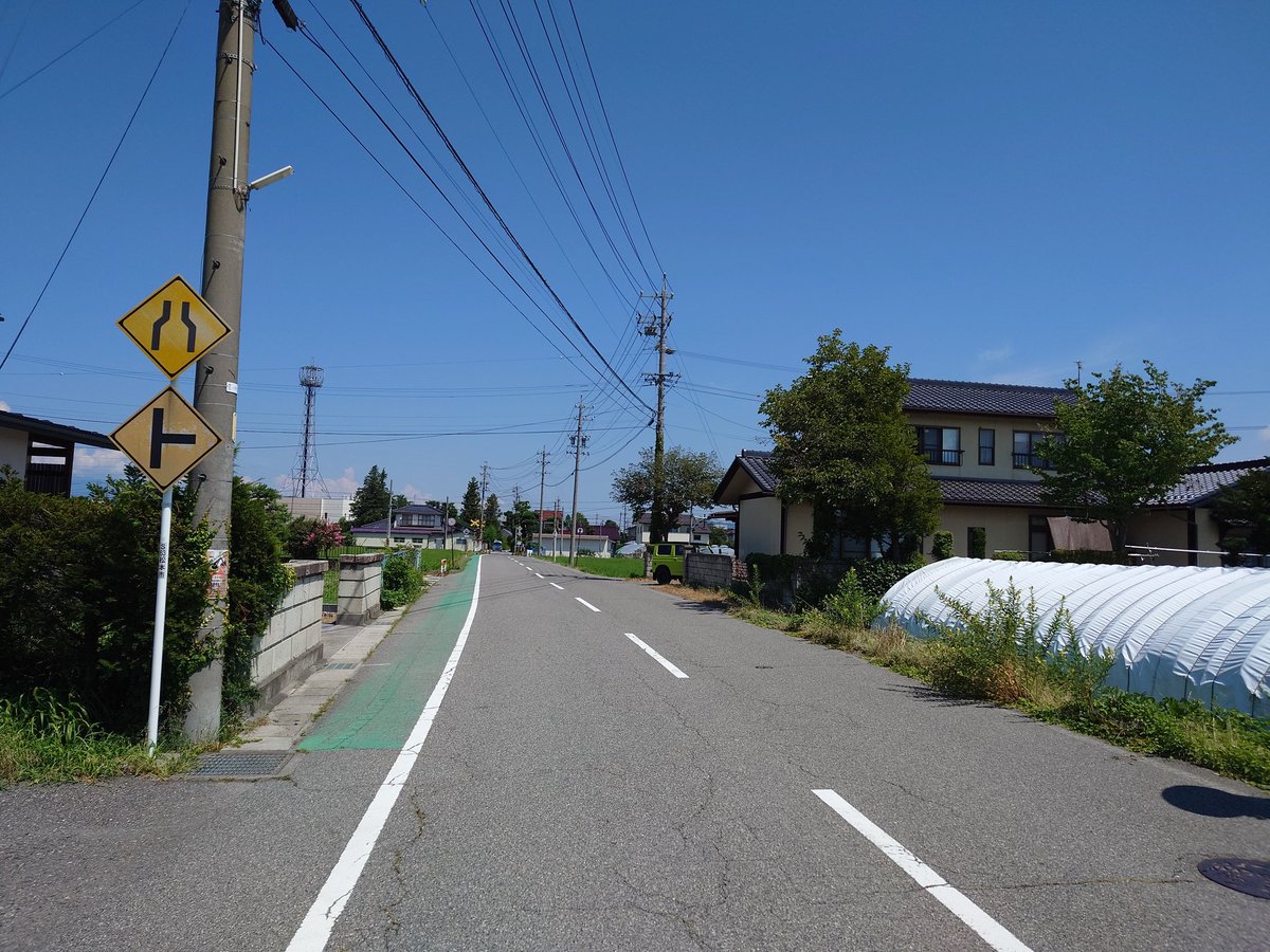 ToyPoodle439's tweet image. ハト発見しました。
#ハト標識