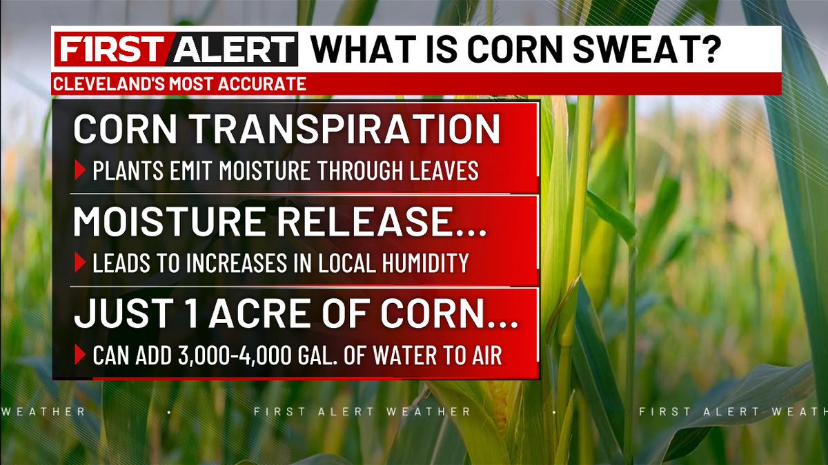Does corn cause...hot weather?

Meteorologist Kelly Dobeck has the answers on First Alert Focus:

cleveland19.com/video/2025/07/…