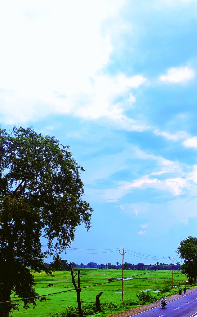 satyabhama_2's tweet image. 🌾 Good Morning! 🌞
Let today be as open as the sky
Filled with freedom, lit with hope, and blooming with joy. 🌥️✨ 💚
🚴♂️ Wishing you a calm and refreshing morning! 🌿