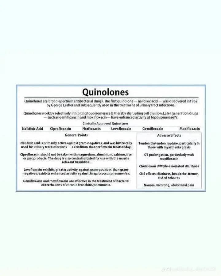 Propharm7's tweet image. ๐ก Quinolones
