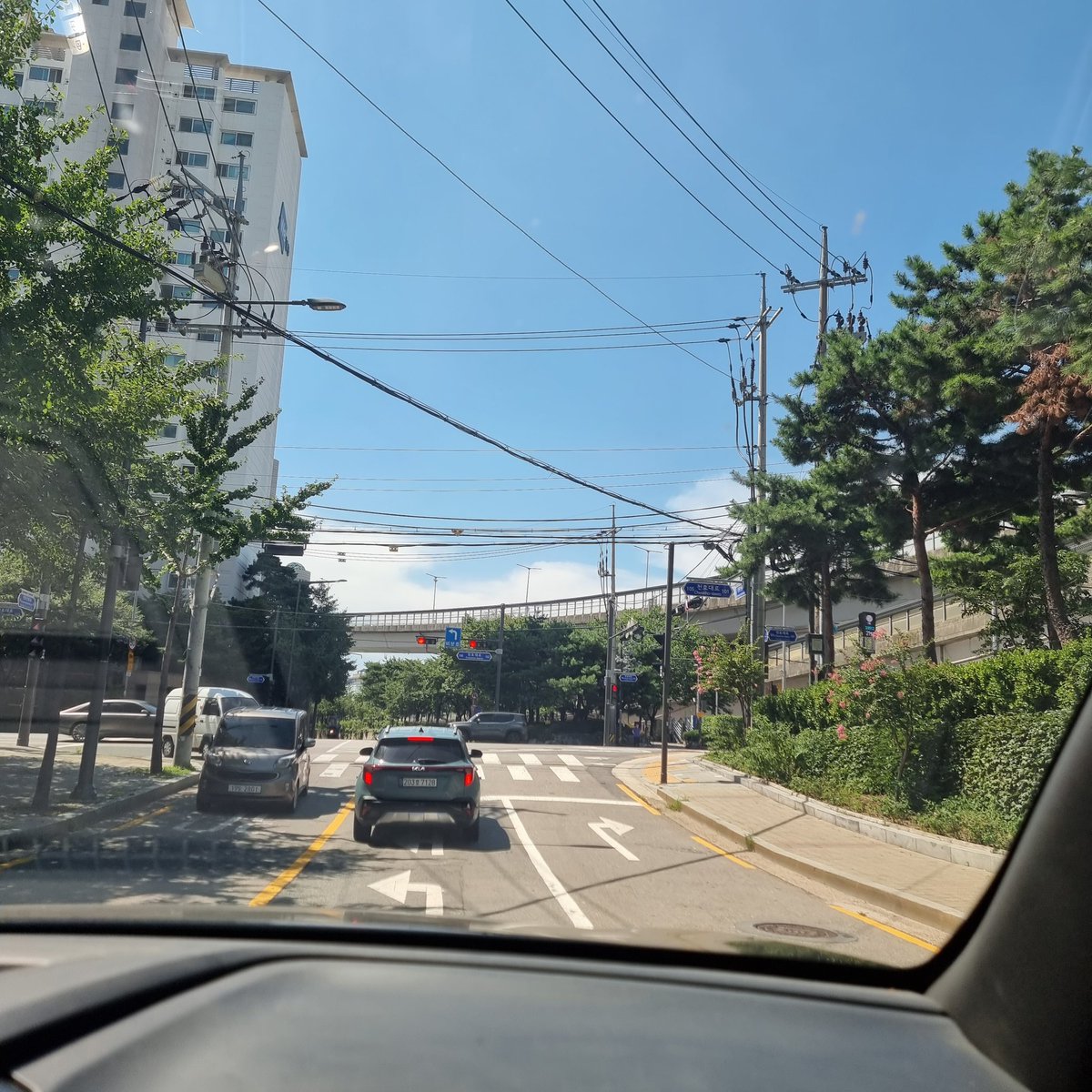 dust_of_E's tweet image. 우리 세바 보러 출발.
이름을 입 밖에 내는거조차 너무나 그리운 내새끼 보러 갑니다
