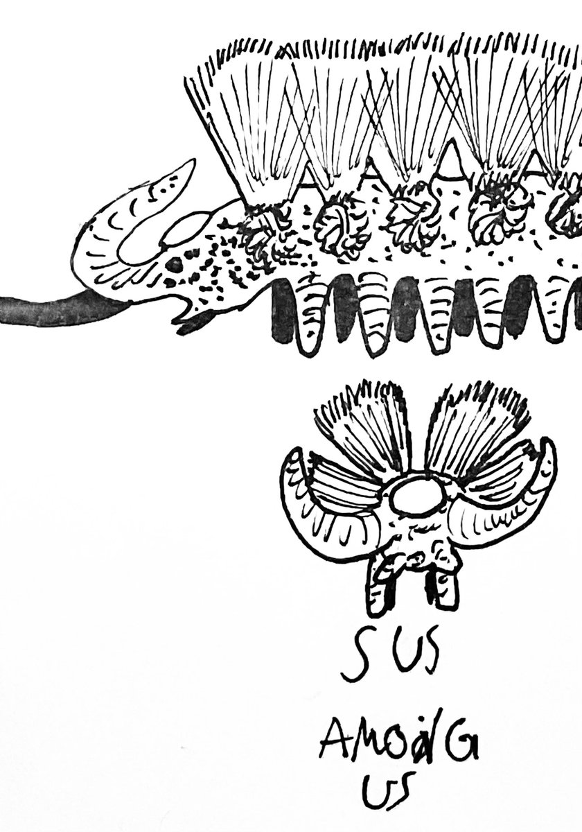 indonimas's tweet photo. For #Paleostream flocking today, we did Palaeocampa, Nektognathus, Wudingloong, and Mirasaura
#arrowworm #lobopodian #dinosaur #sauropodomorph #reptile #derpanosaur #invertebrate #Carboniferous #Cambrian #Triassic #Jurassic https://t.co/Lq1vhijU1h