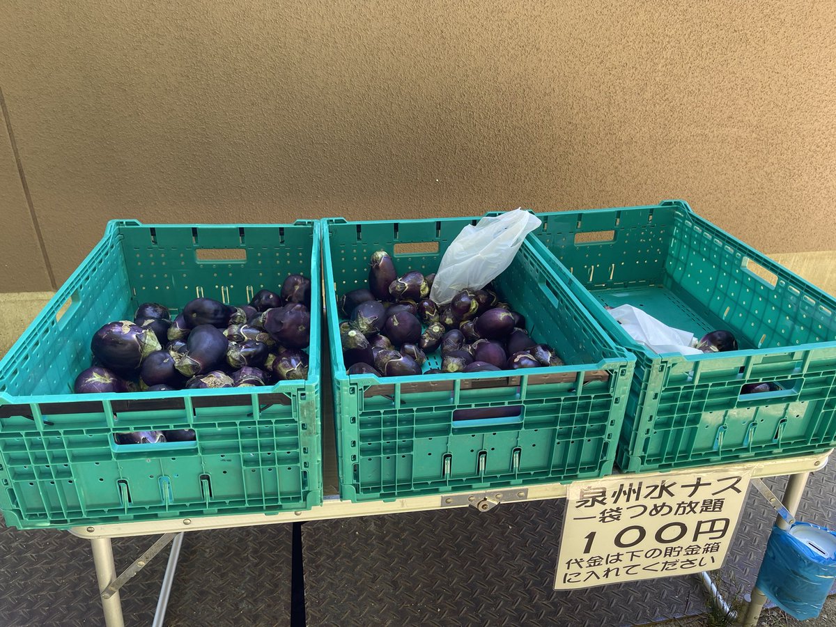 monyasuiyou's tweet image. 朝から天野街道を歩く。
折り返そうと思った地点に水茄子の無料販売所が出現。
早起きは水茄子の🉐なり。
今夜は漬けもんに煮物に天ぷらか？