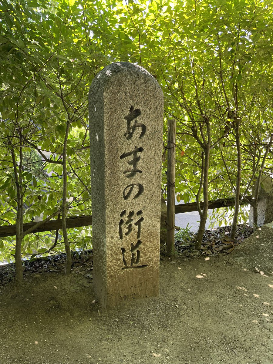 monyasuiyou's tweet image. 朝から天野街道を歩く。
折り返そうと思った地点に水茄子の無料販売所が出現。
早起きは水茄子の🉐なり。
今夜は漬けもんに煮物に天ぷらか？