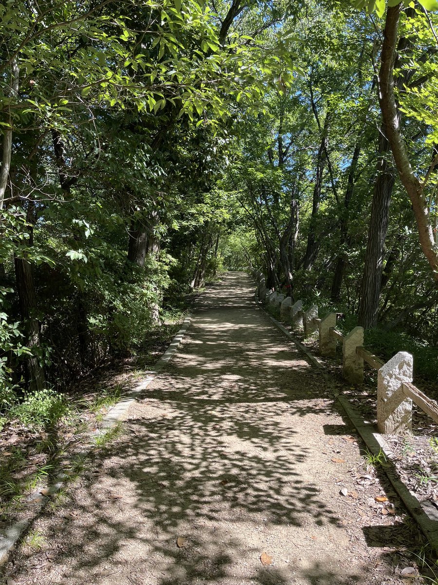 monyasuiyou's tweet image. 朝から天野街道を歩く。
折り返そうと思った地点に水茄子の無料販売所が出現。
早起きは水茄子の🉐なり。
今夜は漬けもんに煮物に天ぷらか？