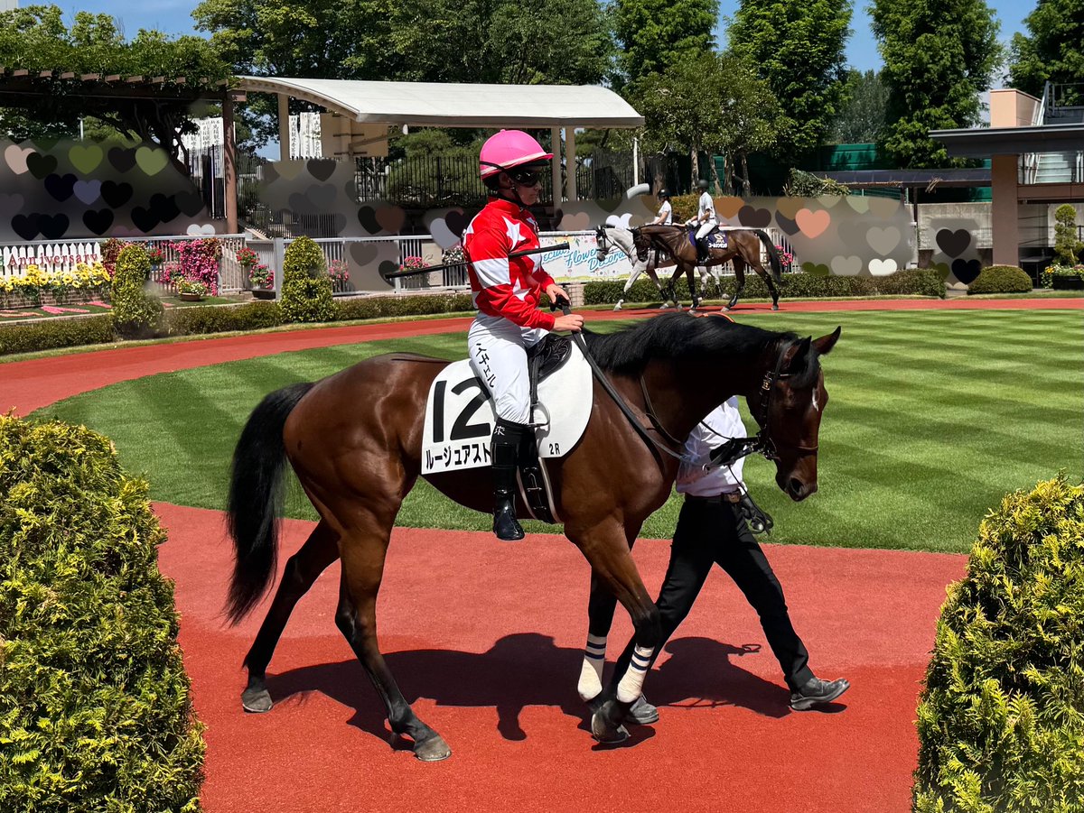 Hina_orihara_'s tweet image. ルージュアストレアのメイクデビューを見届けてきました🏇✨
結果は5着!
暑い中無事にレースを終えられたこと、キング騎手と関係者の皆様に感謝です!😌
これからの成長が楽しみ!!🌱
一緒に応援してくれた方ありがとうございました!