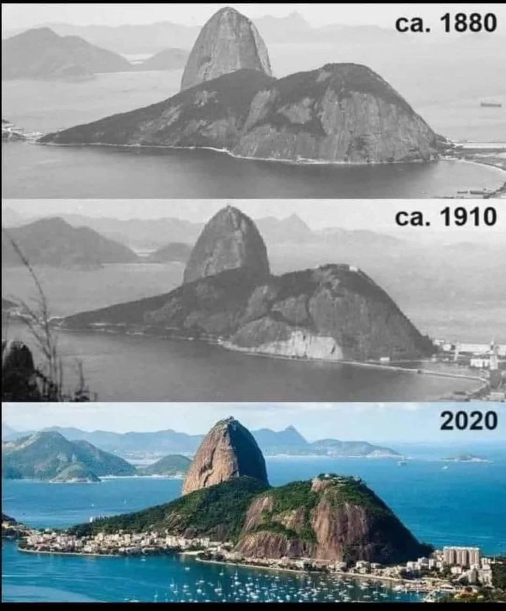 TheDoctorRegen's tweet image. Behold the rising sea levels caused by climate change