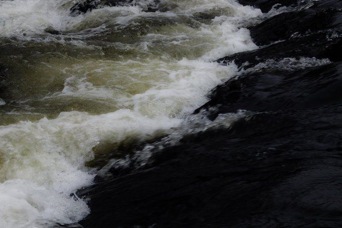 Revansche's tweet image. 