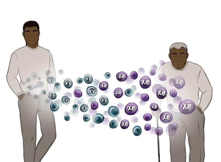 Kirsti Miller tweet media