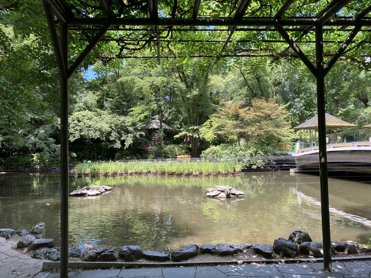 ugachanblog's tweet image. みなさん おはようございます
連日の猛暑 お身体大丈夫ですか
水分補給しながら
素敵な休日をお過ごしください🍀✨
ジムのあと 半年のお礼参りと思い
熱田神宮にて参拝⛩️
みなさまのこれから半年間
平和で健康に過ごせることも
お祈りしながら✨
もう少し散策してきます
午後は簿記勉頑張ります