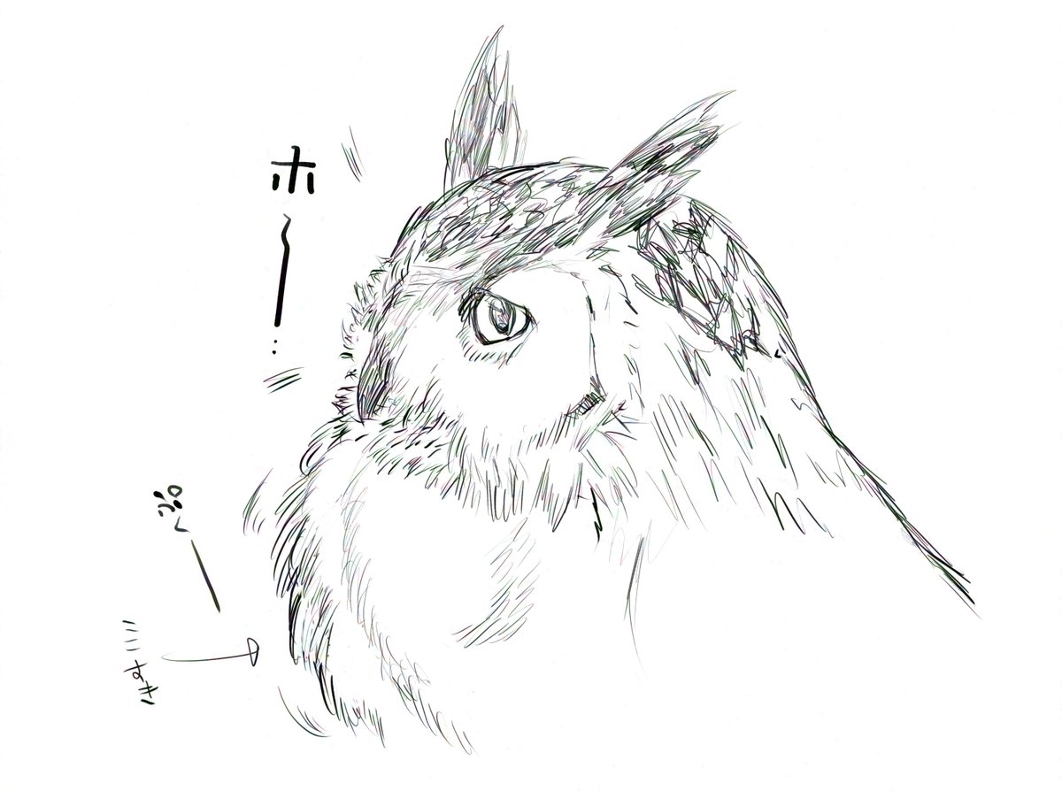 QuaNtuM_SeA's tweet image. 