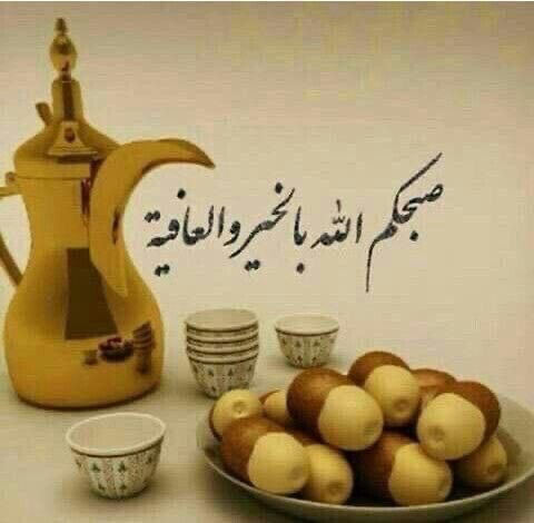 اااقدعووووا   حياكم الله 🌹🌹🌹🌹🌹🌹🌹🌹🌹🌹🌹🌹🌹