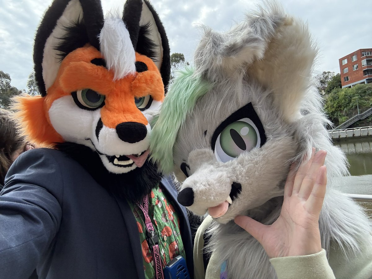 cyrenfolf's tweet image. FURSUIT WALKKK 😄
Business as usual ;p