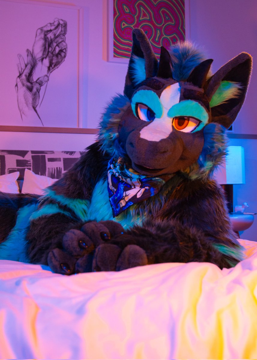 Demi ๐ LVFC (@demicorn333) on Twitter photo Come relax, its been a long week. You'll be in good hands~
Happy #FursuitsFriday
๐ - <a href="/koshkafursuits/">Koshka Fursuits</a>
๐ธ - @/Voltelk Come relax, its been a long week. You'll be in good hands~
Happy #FursuitsFriday
๐ - <a href="/koshkafursuits/">Koshka Fursuits</a>
๐ธ - @/Voltelk