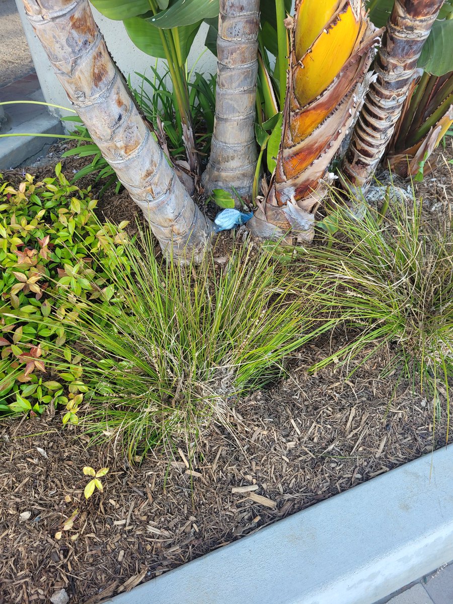 #CRITTERDROP!!!! Chibi-Totoro has been dropped!! Find him and he's yours!
#SDCC2025
#crochetdrop