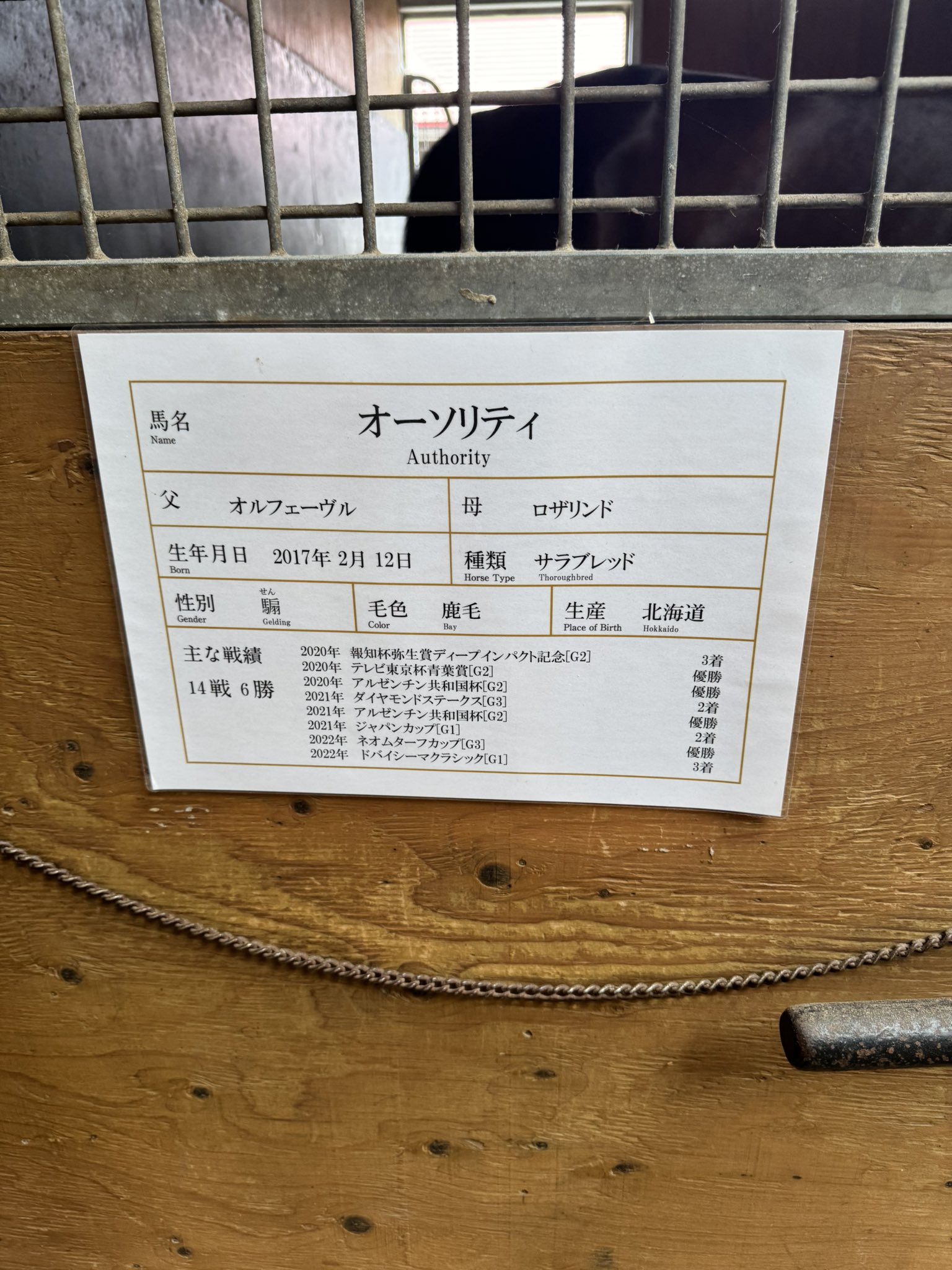【説明必読】おおおお24 ありま(arima.) on X: 