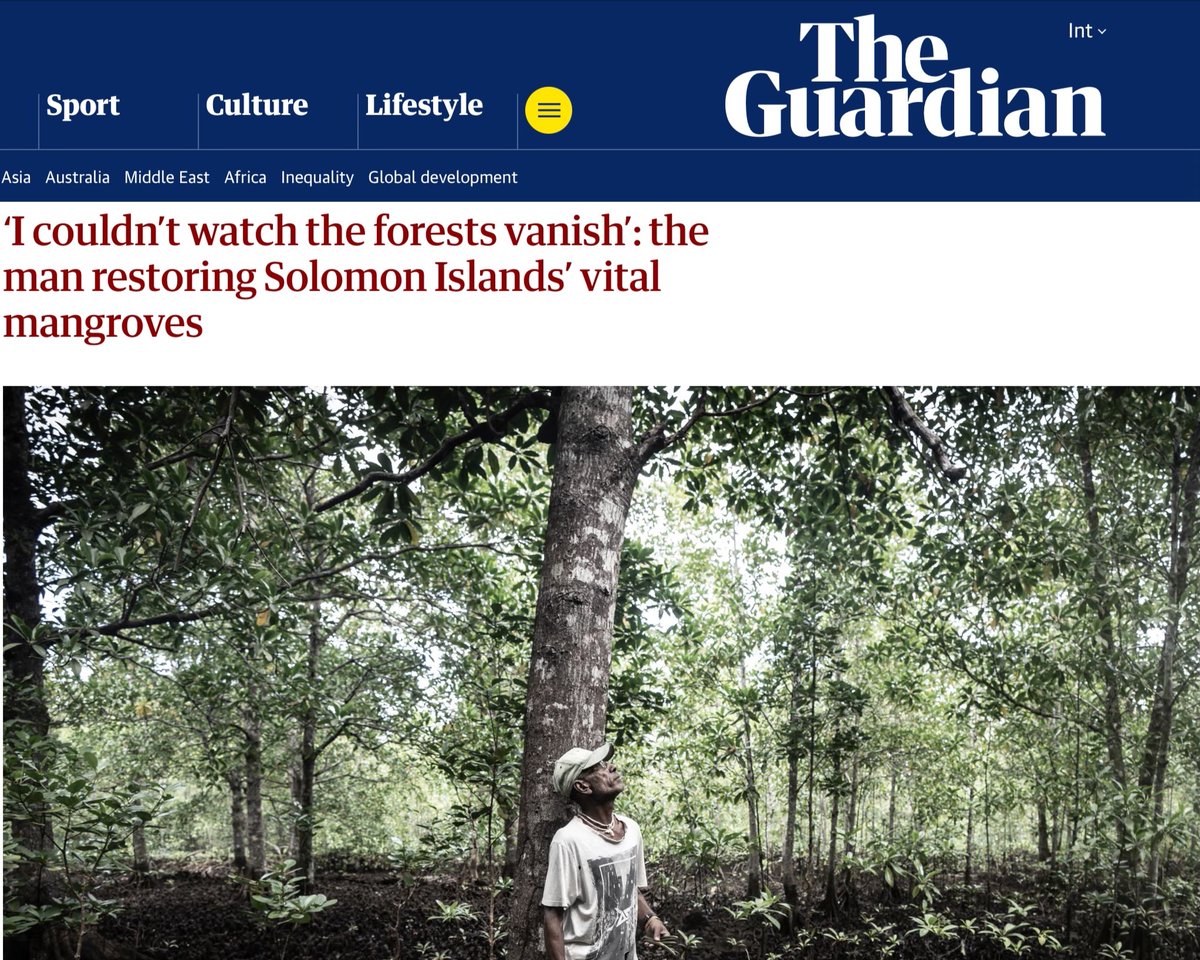 WorldFishCenter's tweet image. 🌱 Since 2017, Ben has planted over 16,000 #mangrove seedlings, helping restore degraded coastal habitat in the Solomon Islands.
This Int'#MangroveDay, Ben’s story in the @guardian is a powerful reminder that protective mangroves is vital: tinyurl.com/WFNews2507j
#AquaticFoods