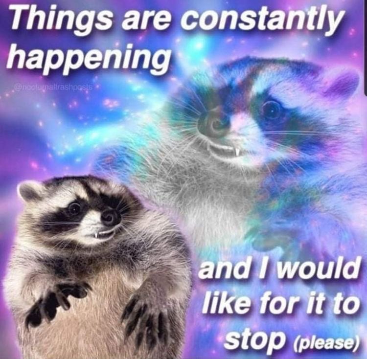 jmapelsarah's tweet image. 