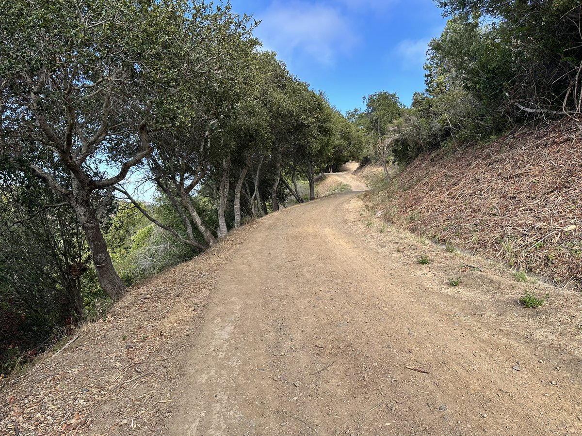 Ok fine I’ll say it.

The Bay Area is pretty nice