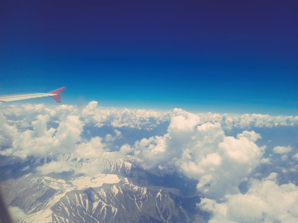 oasis97277547's tweet image. Pic broke the ice
Passion paved the path
Innocence built the trust
Winds of Mutual Admiration
Cat eyes connection
Yes.......🍁
Flying to happiness destination ....