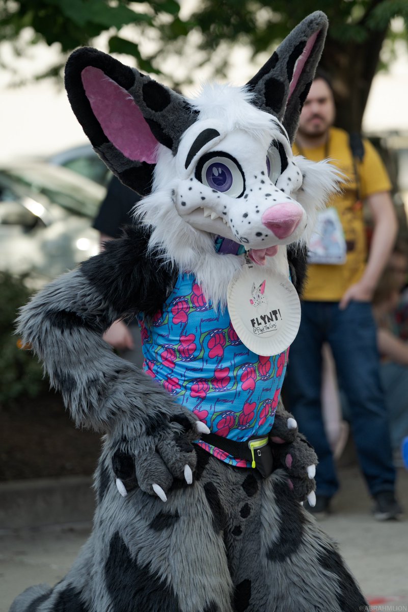 RockySheperd🔜Furrydelphia2026 tweet media