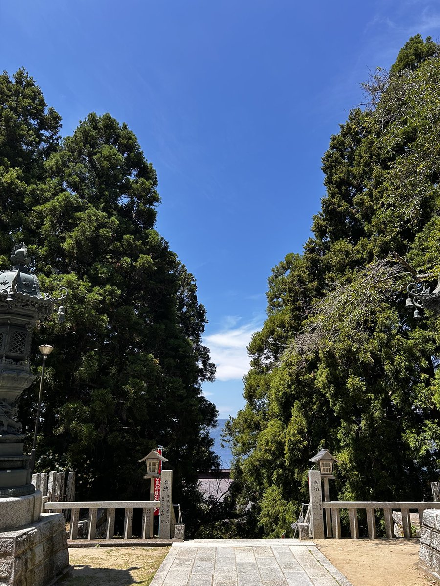 sasakiakisuke's tweet image. 🦌⛩️
