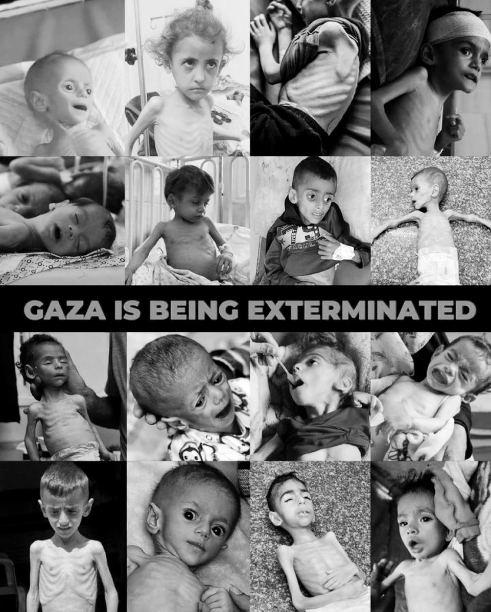 jorgerojas2022's tweet image. ¿Hay un crimen mayor que bombardear niños?
Si, dejarlos morir de hambre.
Son crímenes contra la humanidad y están ocurriendo ahora en Gaza.
Fracasamos como humanidad