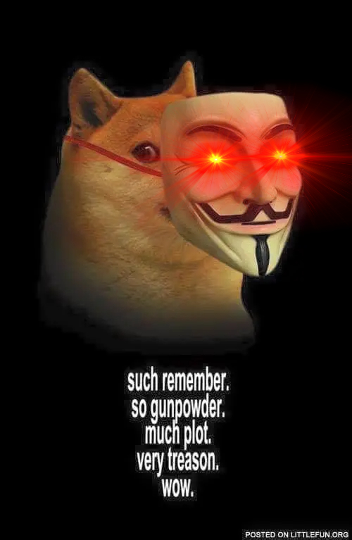 #DOGE