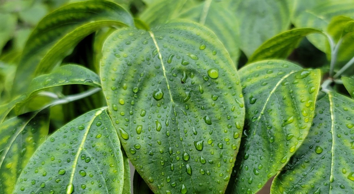 Have a great weekend everyone 🇺🇸👍.