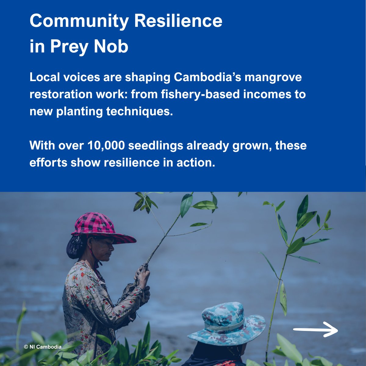 GEF IW:LEARN (@iwlearn) on Twitter photo 🌱 Let’s celebrate #WorldMangroveDay by giving mangroves the spotlight they deserve.
These extraordinary ecosystems protect shorelines, sustain biodiversity & support the livelihoods of millions.
📖 Take 5 minutes to read some inspiring stories shorturl.at/VfEmk
<a href="/theGEF/">Global Environment Facility (GEF)</a> 🌱 Let’s celebrate #WorldMangroveDay by giving mangroves the spotlight they deserve.
These extraordinary ecosystems protect shorelines, sustain biodiversity & support the livelihoods of millions.
📖 Take 5 minutes to read some inspiring stories shorturl.at/VfEmk
<a href="/theGEF/">Global Environment Facility (GEF)</a>