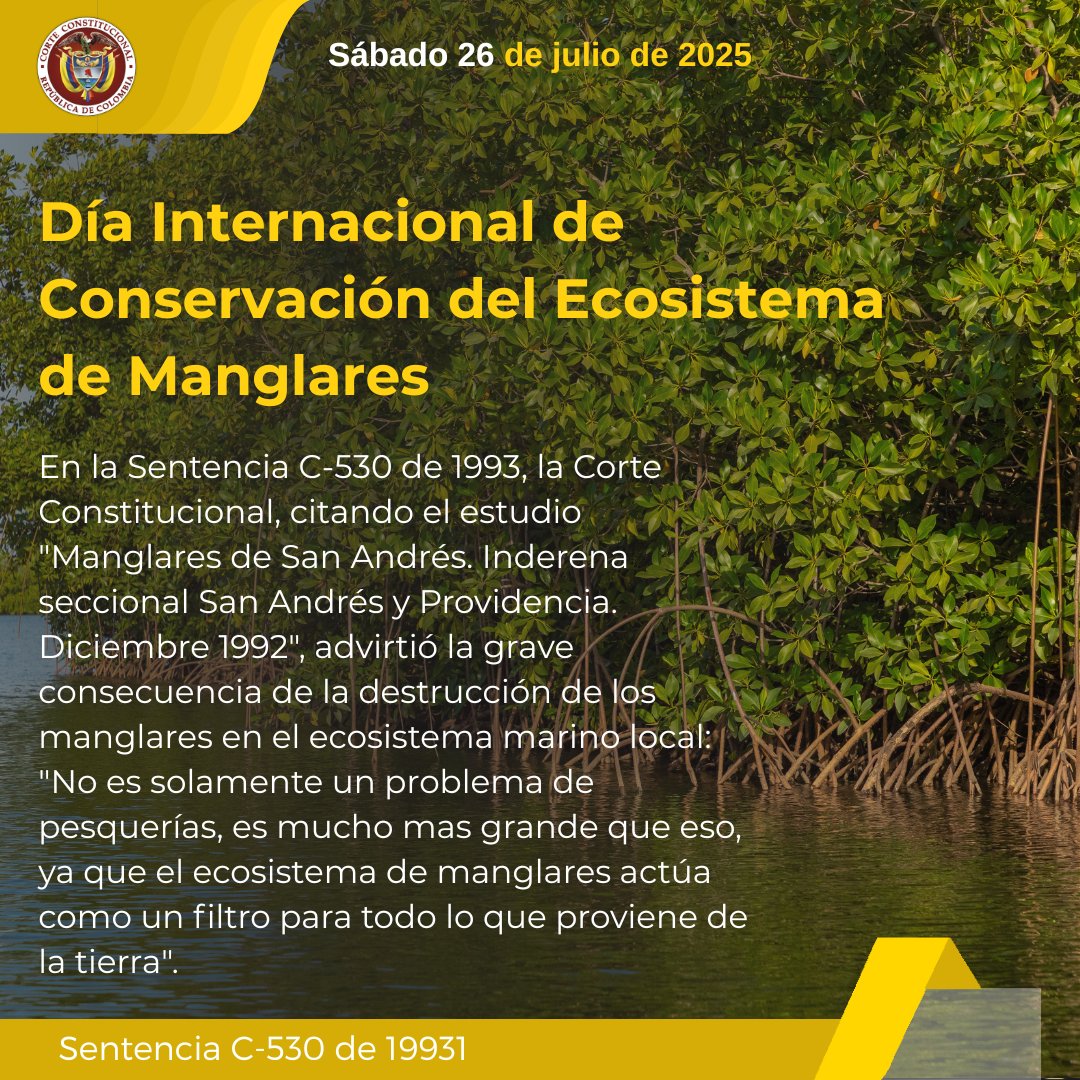 CConstitucional's tweet image. #LaCorteConemora | El Día Internacional de Conservación del Ecosistema de Manglares fue promulgado por la UNESCO en 2015 y se celebra desde 2016. Esta fecha se eligió en homenaje a Hayhow Daniel Nanoto.
Consulte más temas en nuestra página: corteconstitucional.gov.co/relatoria/busc…